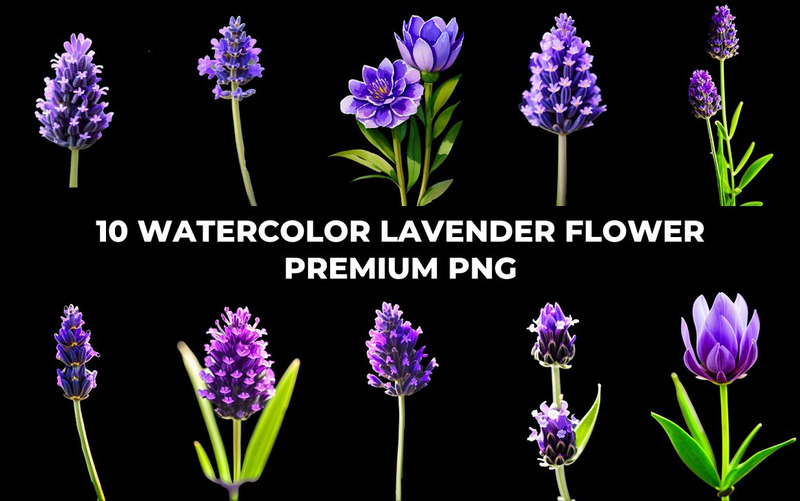 Watercolor Lavender Flower PNG Bundle - Features Image 3