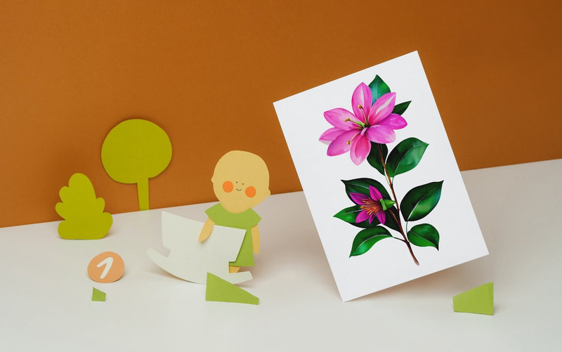 Paquete PNG de flor fucsia acuarela - Características Imagen 14
