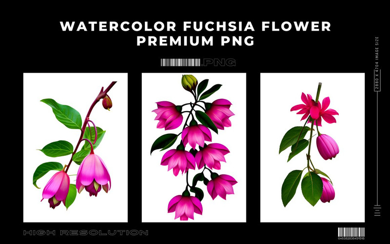 Paquete PNG de flor fucsia acuarela - Características Imagen 12