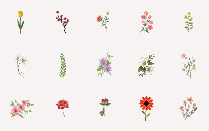 Handgezeichnete Blätter und Blumen Clipart - Eigenschaften Bild 8