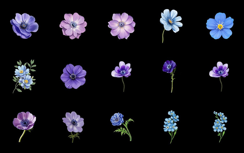 Acuarela Anémonas Flor PNG Clipart - Características Imagen 6