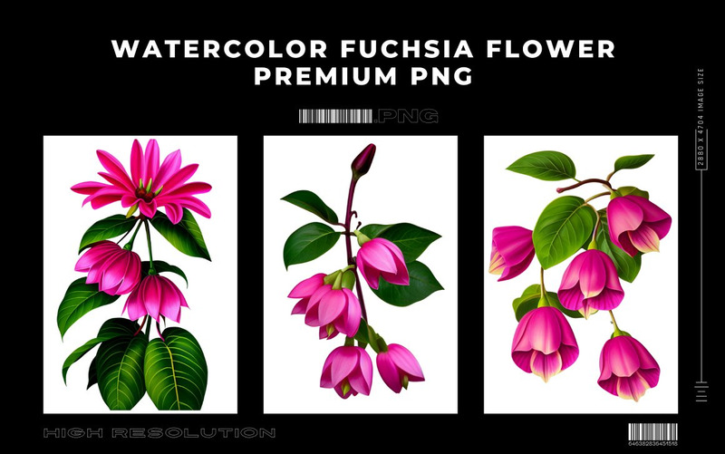 Paquete PNG de flor fucsia acuarela - Características Imagen 9