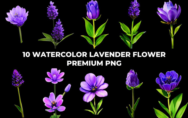 Watercolor Lavender Flower PNG Bundle - Features Image 14