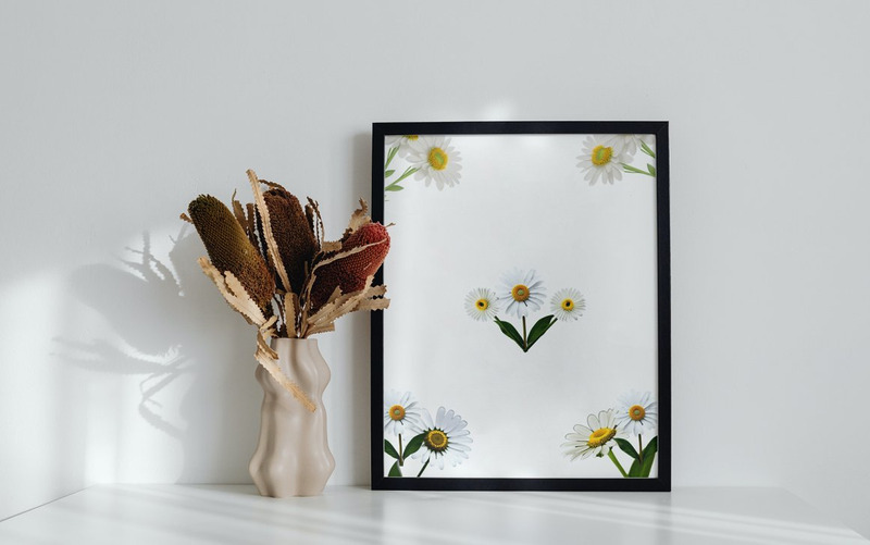 Papatya Çiçek Premium PNG Paketi - Features Image 6