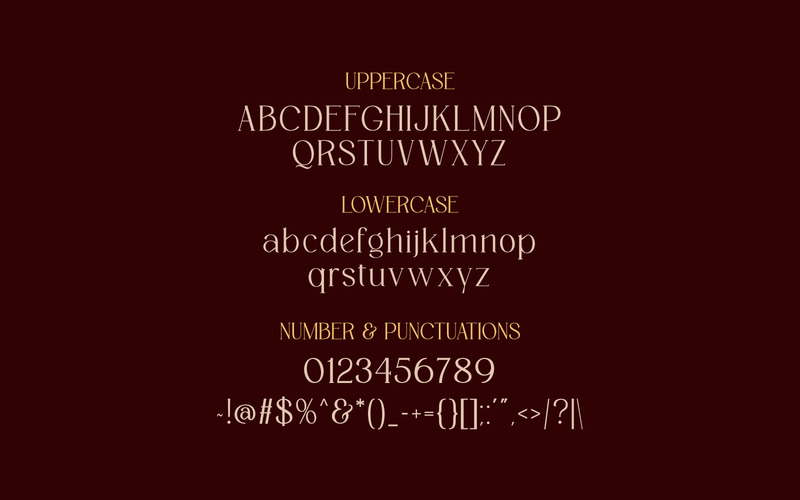 Saint Paris - Elegant Serif-typsnitt - Features Image 2