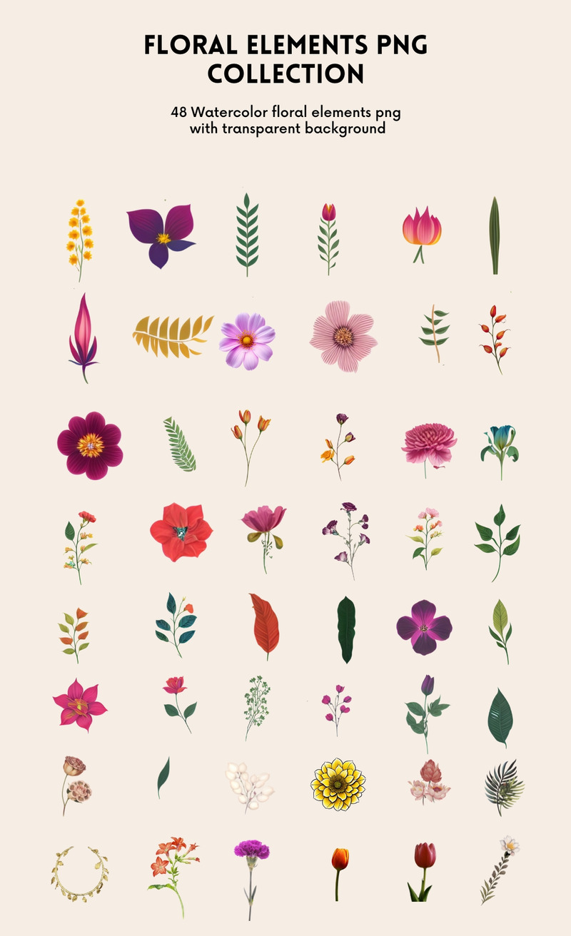183+ PNG-Sammlung von Blumen und floralen Elementen - Eigenschaften Bild 2