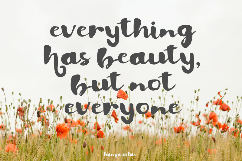 Hanya Wilde - Bold Brush Script - Features Image 6