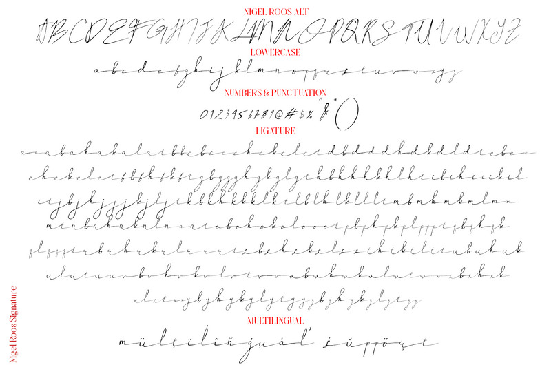 Nigel Roos Signature Font - Features Image 4