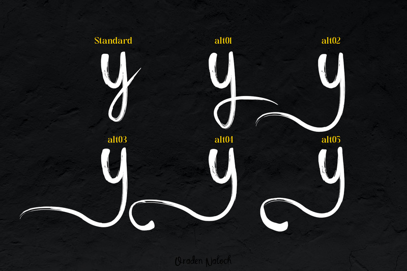 Oraden Naloch - Modern Brush Script - Features Image 9