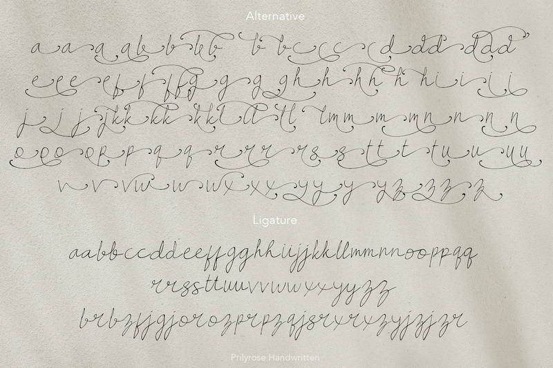 Рукописный шрифт Prilyrose - Features Image 10