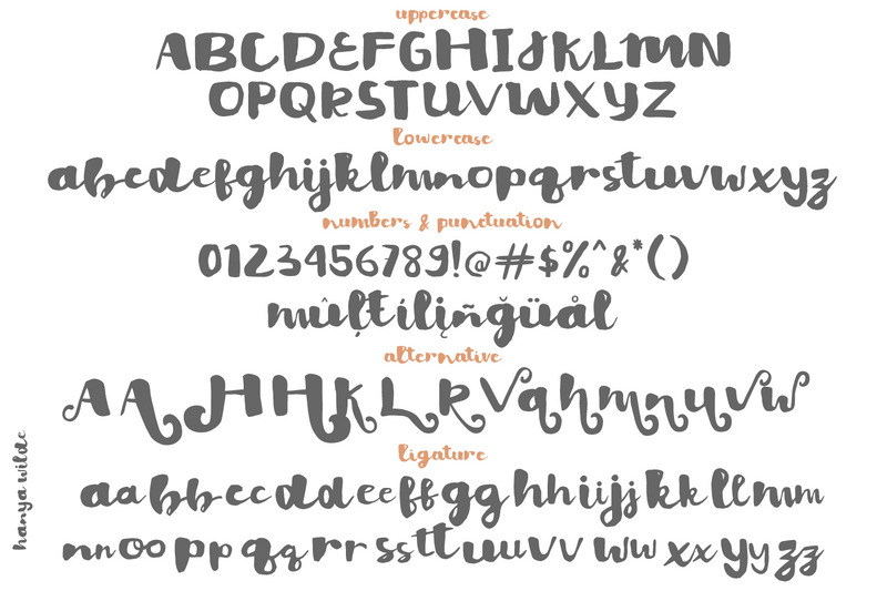 Hanya Wilde - Bold Brush Script - Features Image 5