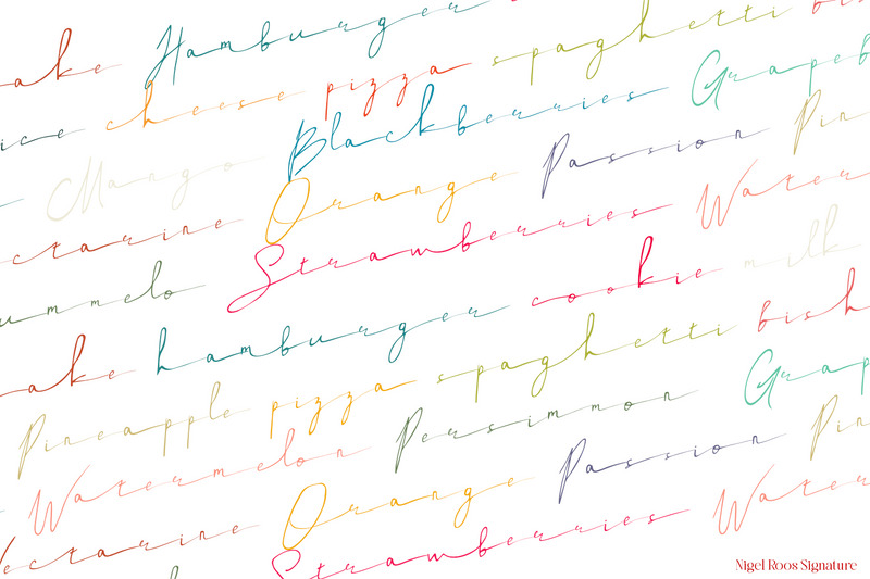 Nigel Roos Signature Font - Features Image 5