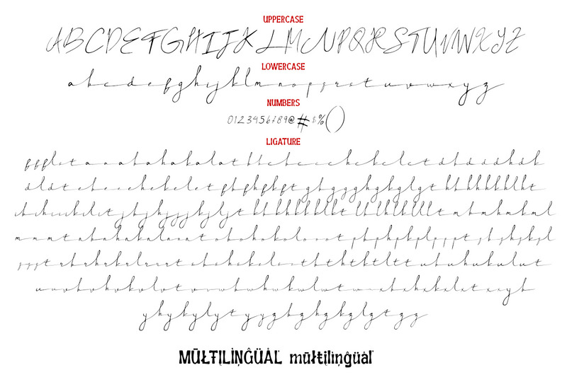 Rush Twist - Font Duo Signature Display - Features Image 10