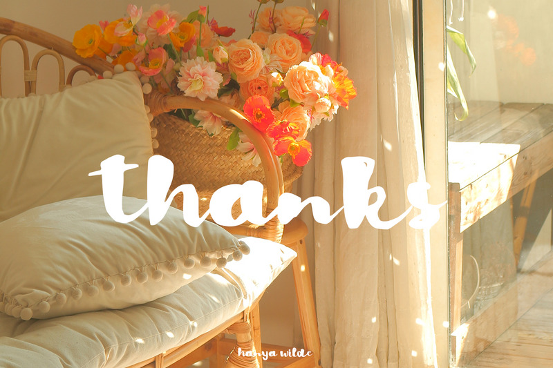 Hanya Wilde - Bold Brush Script - Features Image 10