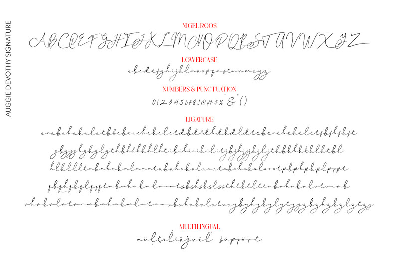 Auggie Devothy - Realistisk signatur - Features Image 10