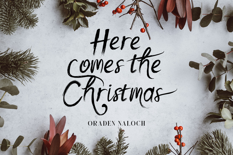 Oraden Naloch - Modern Brush Script - Features Image 6