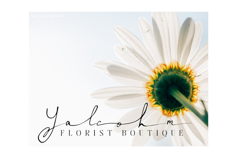 Nigel Roos Signature Font - Features Image 7
