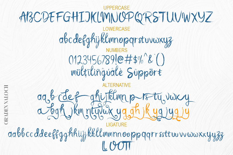 Oraden Naloch - Modern Brush Script - Features Image 10