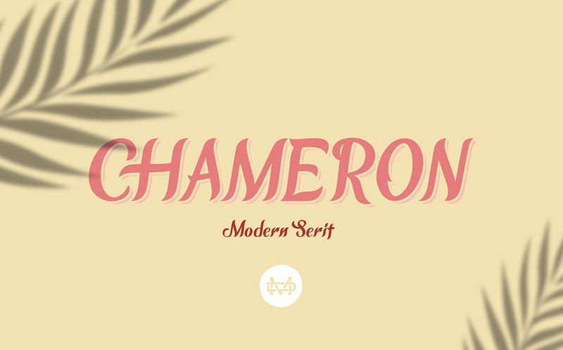 Chameron - nowoczesna czcionka szeryfowa - Obraz funkcji 1