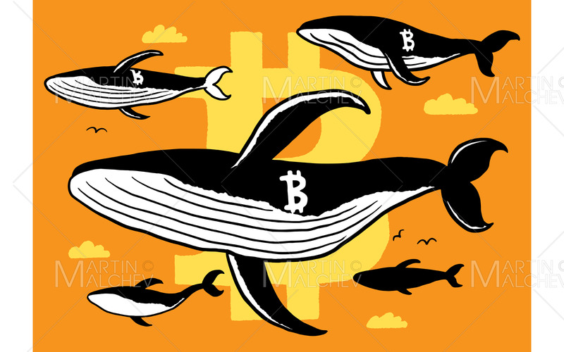 Crypto Ballenas Doodle Vector Ilustración - Características Imagen 1