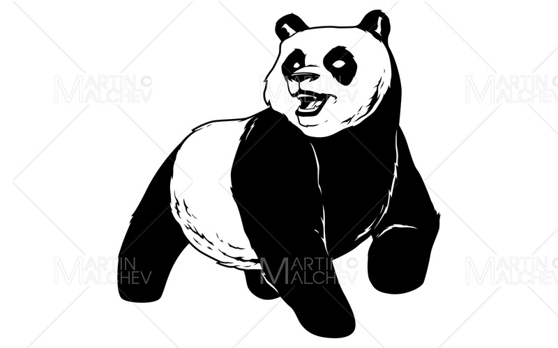 Panda på vit vektorillustration - Features Image 1