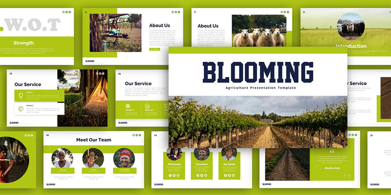 Blooming Agriculture Presentation Template - Features Image 2