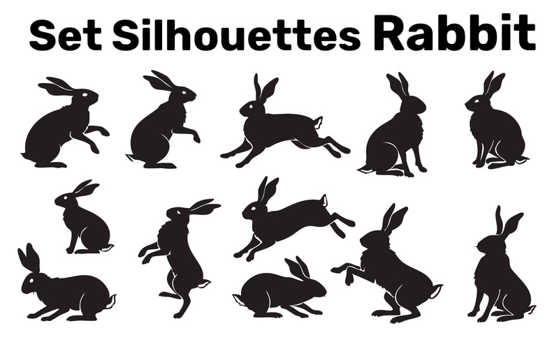 Set Silhouettes rabbit vector, Easy to Edit isolated on white Background - Features Image 1