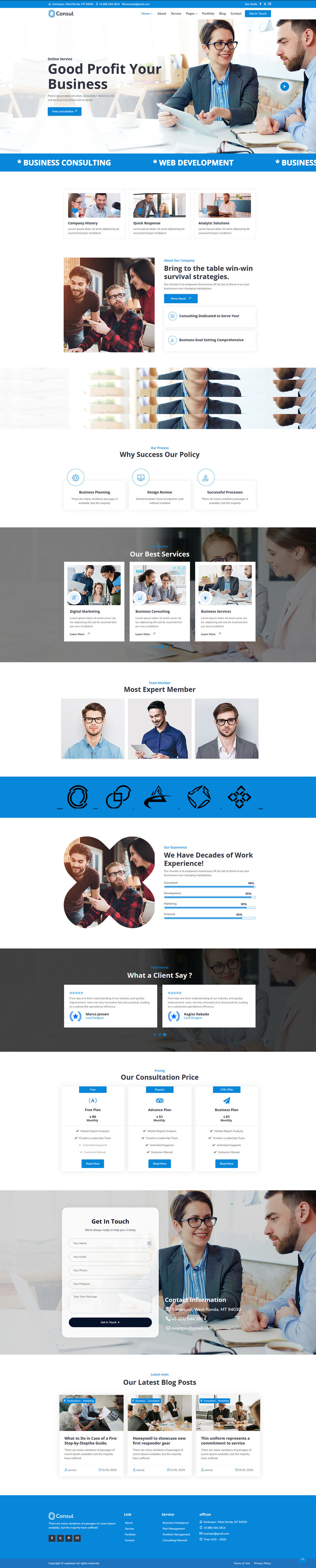 Consul - Business Consulting WordPress Theme - Features Image 1
