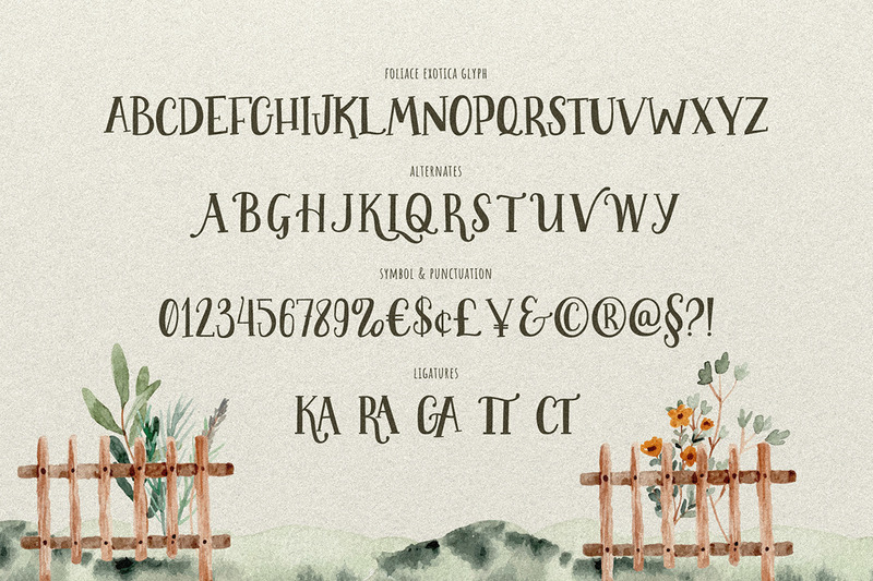 Foliage Exotica - Handskriven Serif - Features Image 9