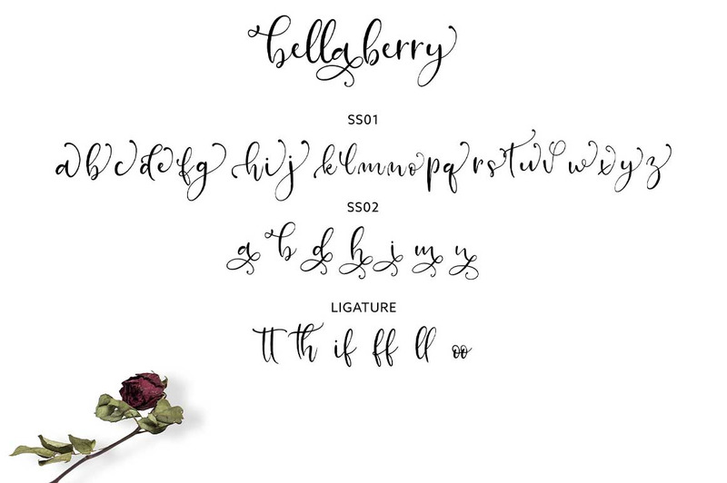 BellaBerry Lovely Script Fonts - Caratteristiche Immagine 6