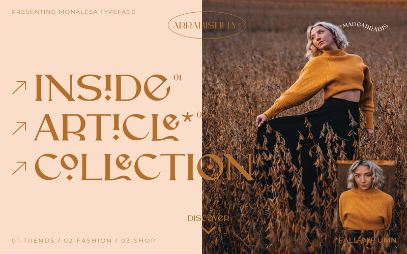 Monalesa - New Vintage Typeface Fonts - Features Image 1