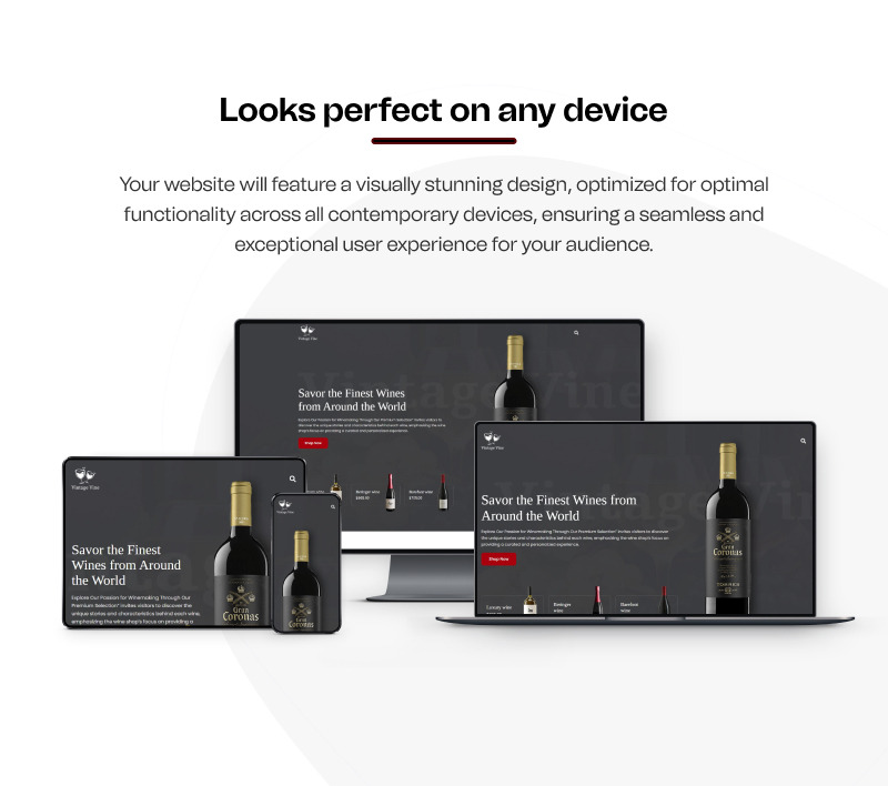 Vintage Vine - Vinbutik och Vineyard Elementor landningssida - Features Image 7