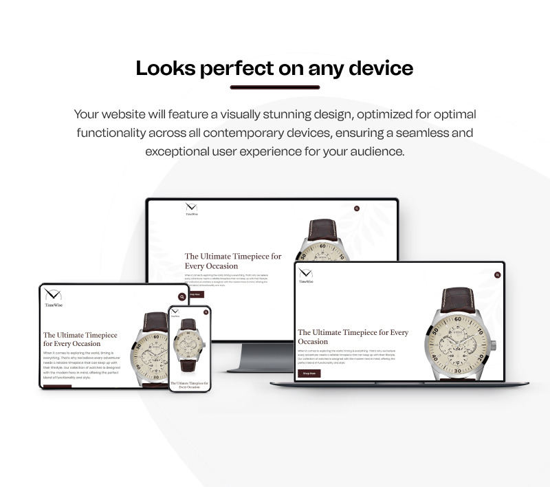 TimeWise - Klockbutik och reparationsservice Elementor Landningssida - Features Image 7