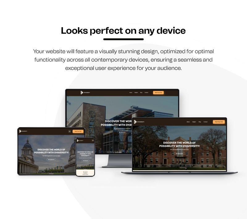 Dyaversity – Pagina di destinazione WordPress Elementor per l'istruzione universitaria e universitaria - Caratteristiche Immagine 7