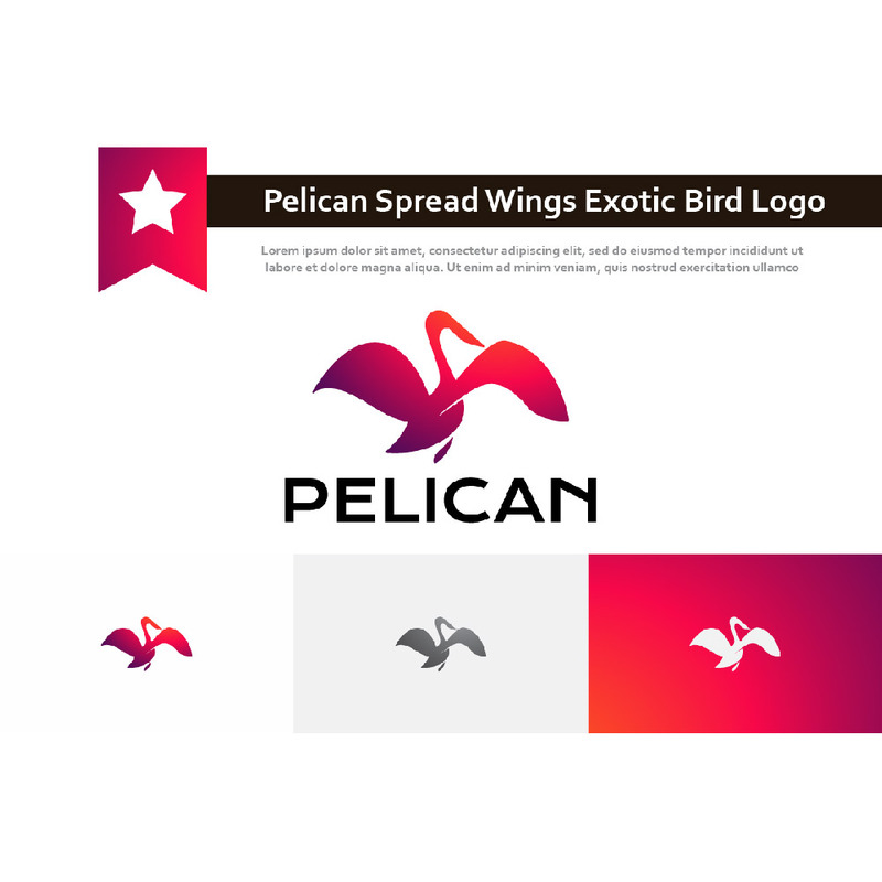Beautiful Pelican Spread Wings Exotic Bird Silhouette Logo - Features Image 1