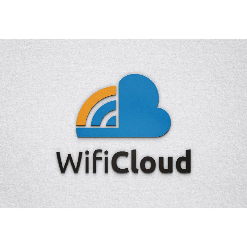 Wifi 云互联网网络连接访问存储技术徽标模板 - Features Image 1