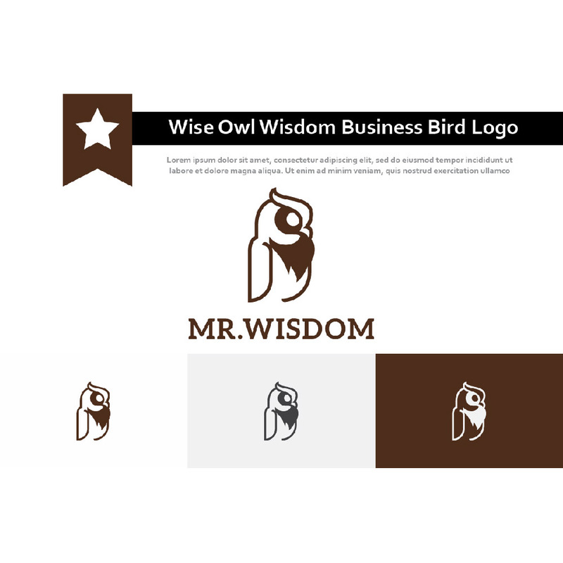 Moudrý sova Moudrost Obchodní Vzdělávání Noční Pták Logo - Features Image 1