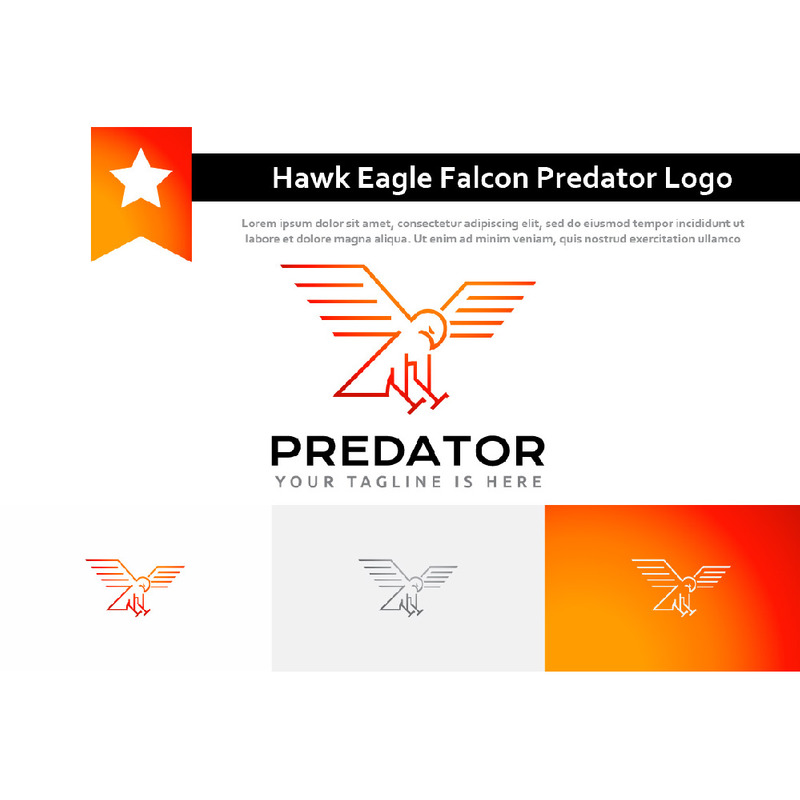 Hawk Eagle Falcon Wings Predator Bird Monoline Logo Template
