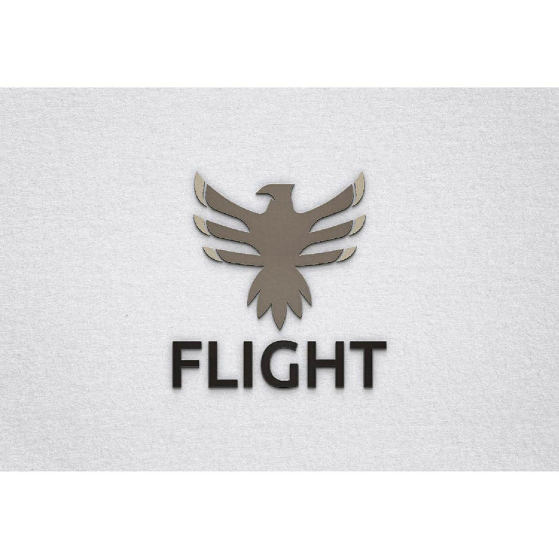 Eagle Hawk Falcon Bird Animal Flight Wings Freedom Logo Template - Features Image 1