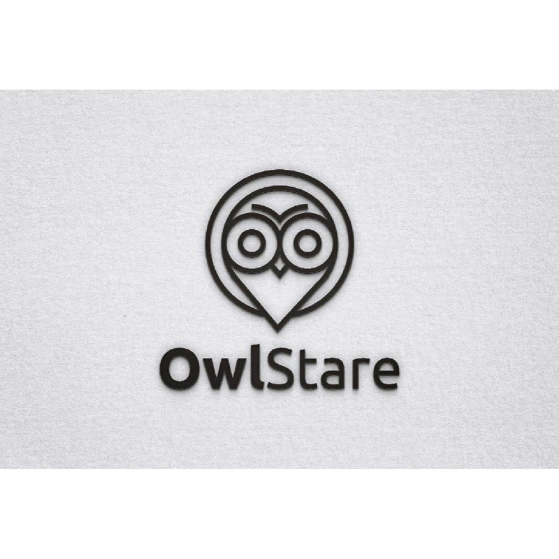 Owl Bird Character Map Pin Location with Sharp Stare Line Logo Template - Features Image 1