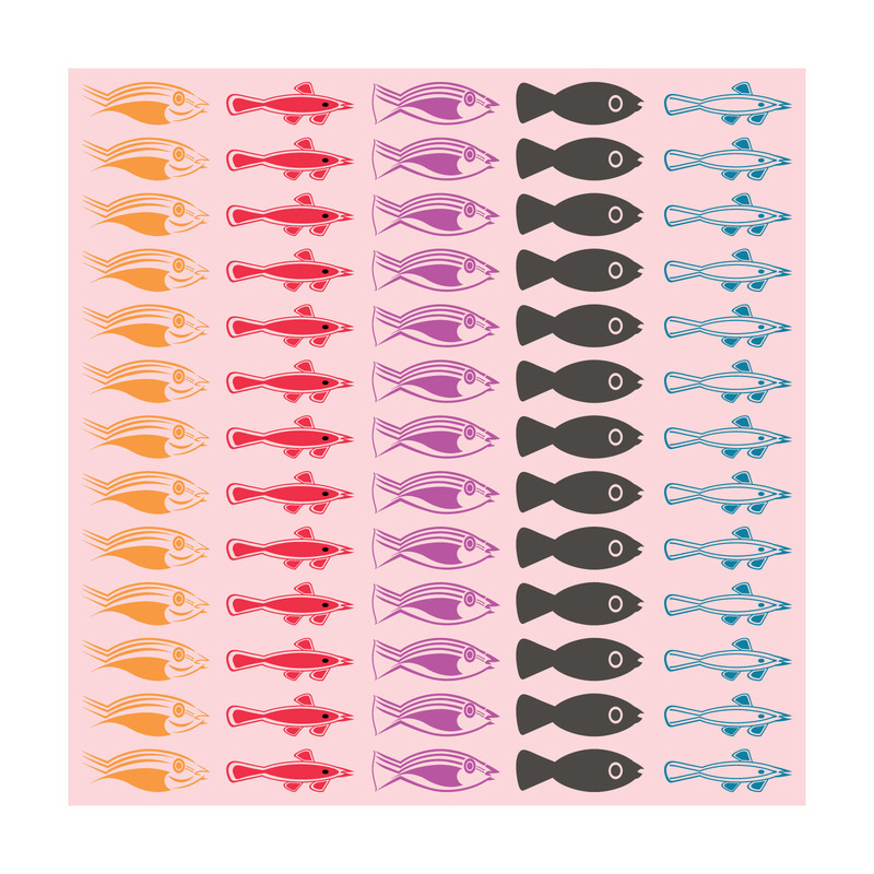 Modello New York Fishing Breeze - Caratteristiche Immagine 5