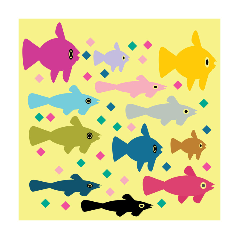 Modello New York Fishing Breeze - Caratteristiche Immagine 2