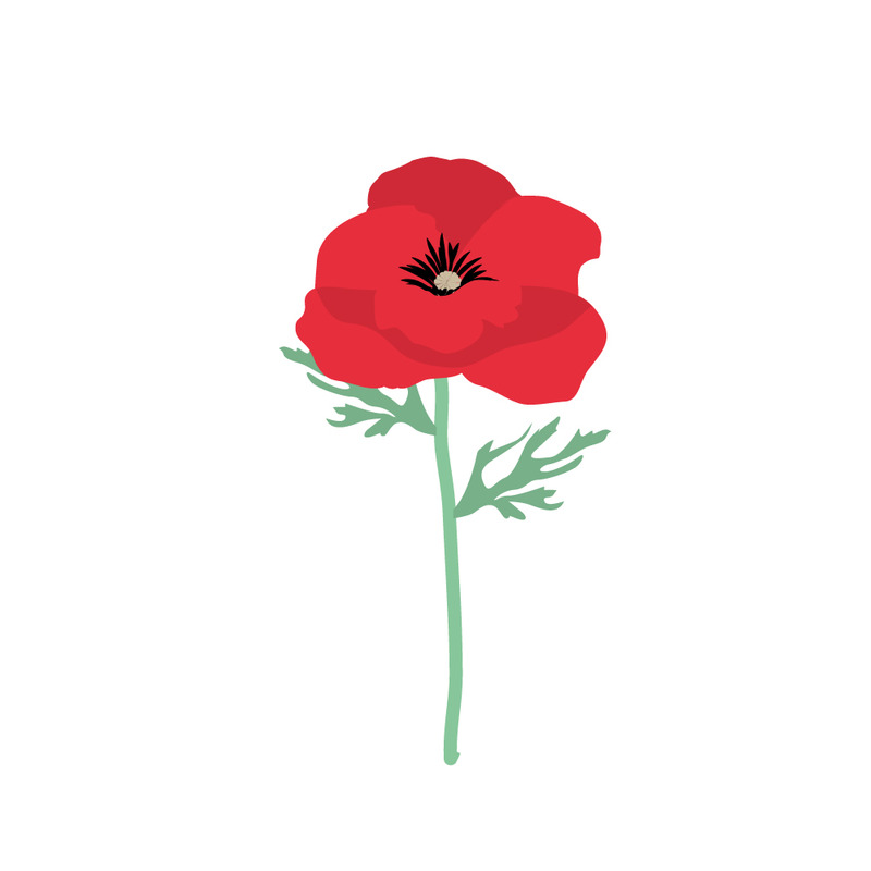 Vibrant Realistic Poppy Flower Illustration - Features Image 1