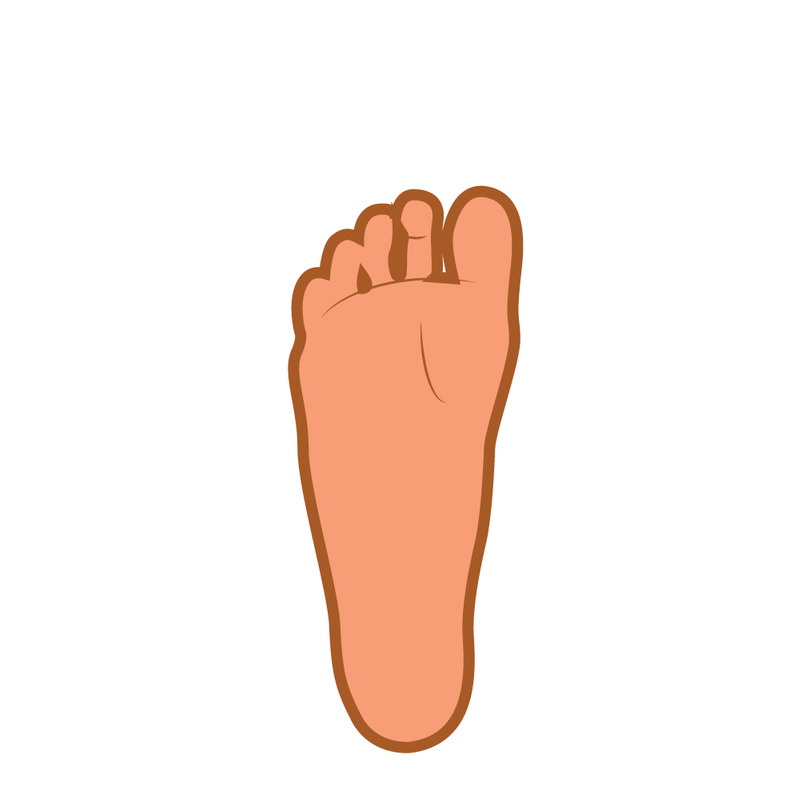 Detailed Human Foot Anatomy Sole Vector Illustration - Features Image 1