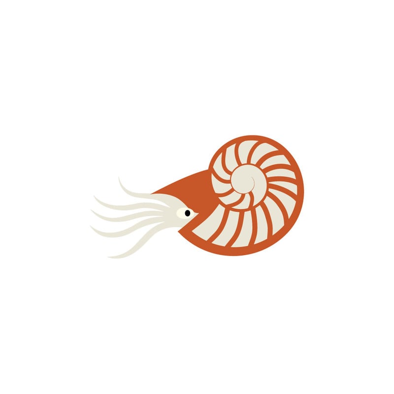 Elegante icono vectorial de concha de nautilus: símbolo geométrico de animal marino - Características Imagen 1