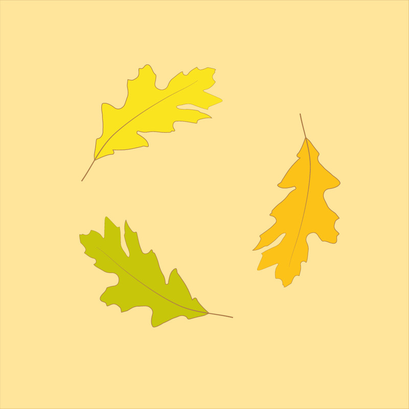 Hermosas hojas de otoño de colores brillantes que caen en el aire aisladas - Características Imagen 1