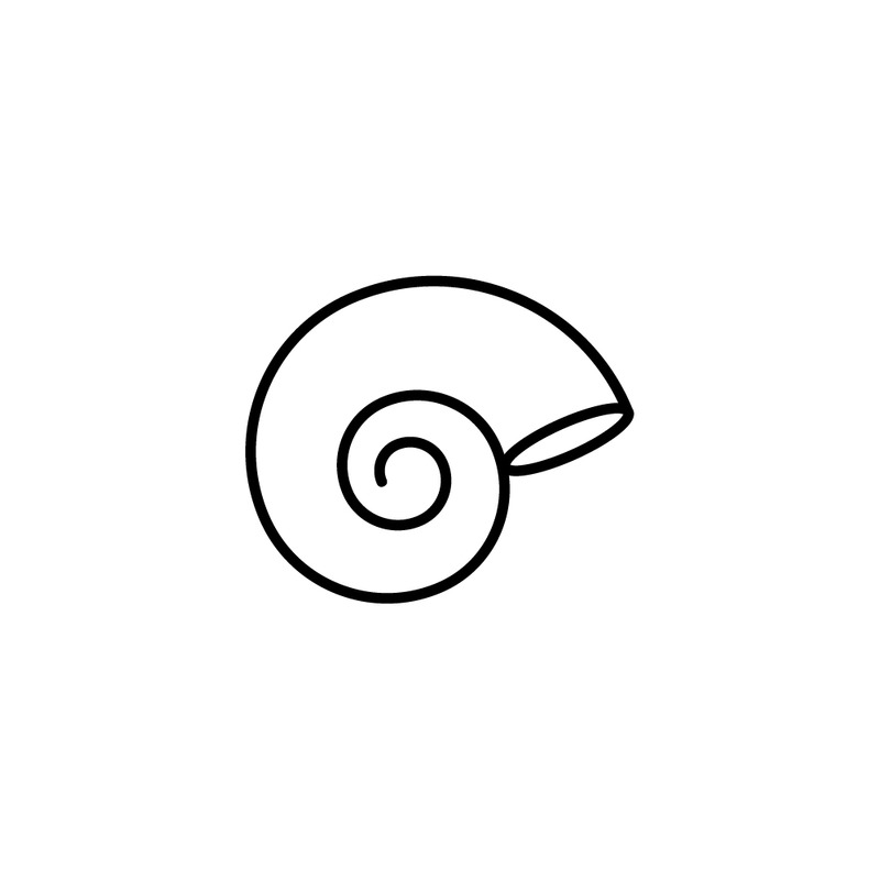 Раковина виноградной улитки, изолированная, белая. - Features Image 1