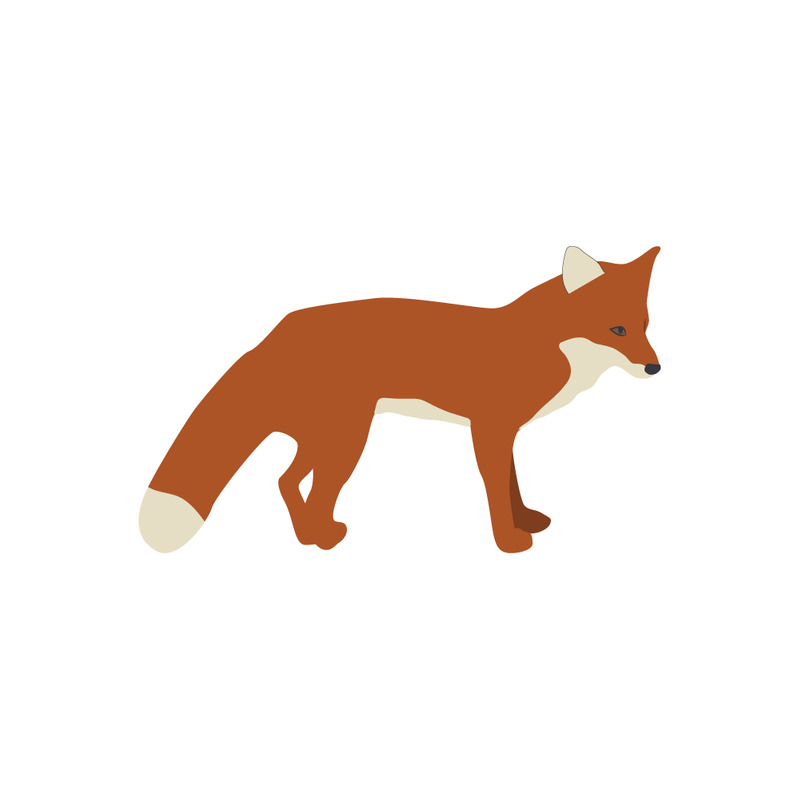 Walking Red Fox Vector Illustration Side View - Features Image 1
