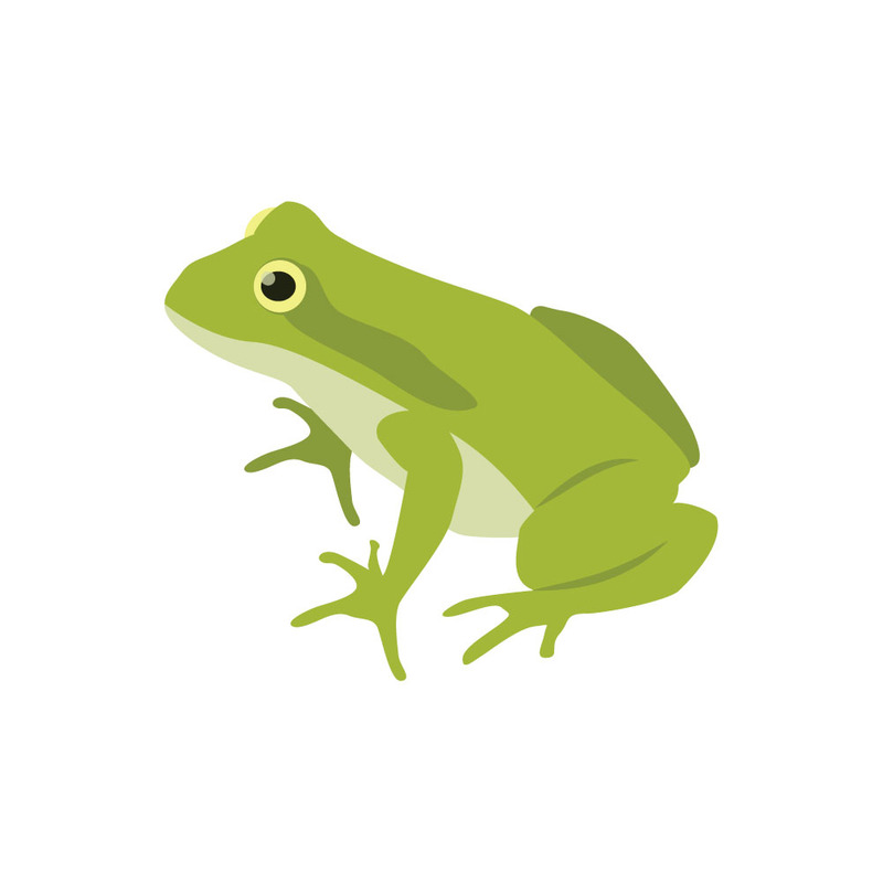 Vibrant Cartoon Wood Frog and Green Frog Vector Illustration - Features Image 1