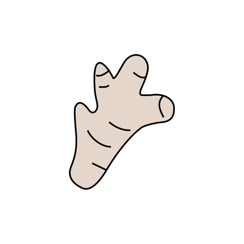 Icône linéaire de racine de gingembre pour la cuisine, les boissons et l'emballage des produits - Caractéristiques de l’image 1